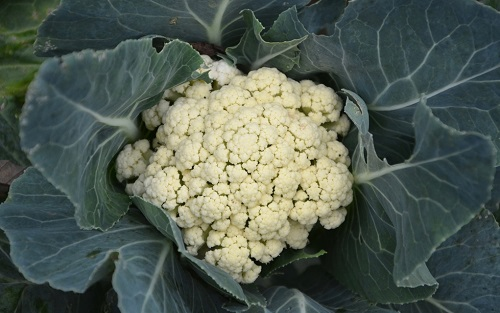 1663037682507347.png image.png