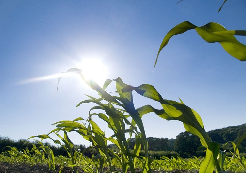 1674107004208610.png image.png